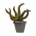 A5500300 01 kidsdepot-kuntstplant-sanseveria-groen Tangara groothandel voor de kinderopvang